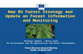 New EU Forest Strategy and Update on Forest Information and Monitoring Forest Directors General Meeting Dublin, 27 March 2013 Michael Hamell – María Gafo.