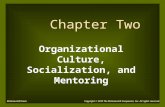 Organizational Culture, Socialization, and Mentoring Chapter Two Copyright © 2010 The McGraw-Hill Companies, Inc. All rights reserved.McGraw-Hill/Irwin.