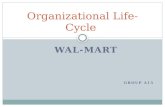 Organizational Life Cycle a 15