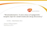 Bromodomains: A new class of epigenetic targets ripe for small molecule drug discovery Jason Witherington EpiNova DPU ELRIG – Manchester 2012.