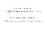 Data Citation & Digital Object Identifiers DOIs. 2 Digital Object Identifiers 101 Persistent identifier - a form of Handle Identifies intellectual property