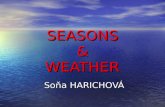 SEASONS & WEATHER Soňa HARICHOVÁ. SEASONS SPRING SPRING SPRING SUMMER SUMMER SUMMER AUTUMN AUTUMN AUTUMN WINTER WINTER WINTER WEATHER FORECAST WEATHER.