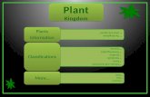 The Kingdoms what are plants? Plants Information Mosses and Liverworts Ferns Horsetails Conifers Flowering plant Grasses Classifications Glossary Quiz.