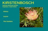 KIRSTENBOSCH National Botanical Garden Capetown, South Africa History Layout The Gardens.