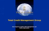 Total Credit Management Group Your Expert in Credit & Risk Management, and Online Information.