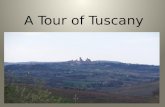 A Tour of Tuscany. Florence Best known for – Artists – Chianti – Olive oil – Shopping – Fashion – Museums – David.