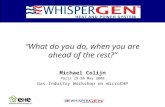 Michael Colijn Paris 29-30 May 2008 Gas Industry Workshop on microCHP What do you do, when you are ahead of the rest?