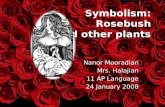 Symbolism: Rosebush and other plants Nanor Mooradian Mrs. Halajian 11 AP Language 24 January 2008.