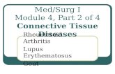 Med/Surg I Module 4, Part 2 of 4 Connective Tissue Diseases Rheumatoid Arthritis Lupus Erythematosus Gout.