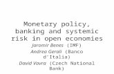 Monetary policy, banking and systemic risk in open economies Jaromir Benes (IMF) Andrea Gerali (Banco dItalia) David Vavra (Czech National Bank)