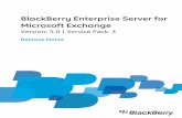 blackberry known issues pdf