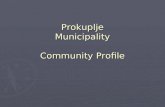 Prokuplje Municipality Community Profile. Background Information South East Serbia – Center of Toplica Region South East Serbia – Center of Toplica Region.