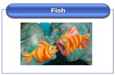 Fish. Fish Revision Fish Revision Checklist Fish and fish products, chilling and freezing. You need to look at …. properties and functions of ingredients.