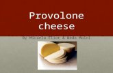 Provolone cheese By Micaela Eliot & Neda Moini. History and origins Started in Southern Italy first written about by Columella Started in Southern Italy.