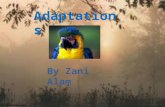 Adaptations By Zani Alam. Animal Adaptations All animals live in habitats. Habitats provide food, water, and shelter which animals need to survive, but.