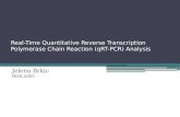 Real-Time Quantitative Reverse Transcription Polymerase Chain Reaction (qRT-PCR) Analysis Jelena Brkic BIOL5081