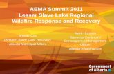 AEMA Summit 2011 Lesser Slave Lake Regional Wildfire Response and Recovery Brandy Cox Director, Slave Lake Recovery Alberta Municipal Affairs Mark Hoosein.
