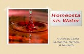 Homeostasis Water Al-Asfaar, Zohra Samantha, Hyreen, & Nicolette.