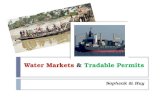 Water Markets & Tradable Permits Sopheak & Huy. Our Focus Water Markets & Transferable Permits Water Auctions Tradable Pollution Permits Lessons Learnt.