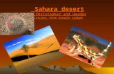 Sahara desert By Christopher and Hayden pictures from Google images Sahara desert By Christopher and Hayden pictures from Google images