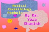 Medical Parasitology Parasitology: is the science that deals with parasites, which infect man temporarily or permanently. Parasitism: indicates that one.