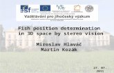 Miroslav Hlaváč Martin Kozák 27. 07. 2011 Fish position determination in 3D space by stereo vision.