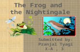 Introduction The allegorical poem The Frog and the Nightingale by Vikram Seth conveys the thought that if you want to succeed you must have self confidence.