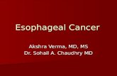 Esophageal Cancer Akshra Verma, MD, MS Dr. Sohail A. Chaudhry MD.