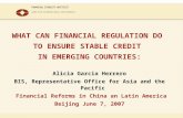 WHAT CAN FINANCIAL REGULATION DO TO ENSURE STABLE CREDIT IN EMERGING COUNTRIES: Alicia Garcia Herrero BIS, Representative Office for Asia and the Pacific.
