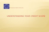 NIZARI Progressive Federal Credit Union. What is a credit score? Financial payment profile Fair Isaac Corporation (FICO) 300 to 850 – the higher, the