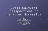 Cross-Cultural perspectives on managing diversity By: David Pickering Huang,DeJing(Kevin) Roy Tanuwidjaja Norito Kobayashi Luisa.