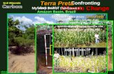 Mystery Soil of the Amazon Amazon Basin, Brazil Soil Minerals Climate Change ConfrontingOxisol predominant Amazon soils acidic notoriously infertile very.
