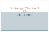 CULTURE Sociology Chapter 2. What is Culture Video .