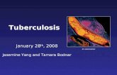 Tuberculosis January 28 th, 2008 Jasemine Yang and Tamara Bodnar M. tuberculosis.