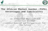 The African Market Garden (TIPA) Advantages and Constraints an Integrated Horticultural production package Lessons learned and Perspectives for the Future.