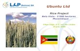 1 Ubuntu Ltd Rice Project Bela Vista - 5000 hectares Mozambique Filipe Gago & C. van der Linden 15 July 2008.