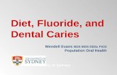 Diet, Fluoride, and Dental Caries The University of Sydney Wendell Evans BDS MDS DDSc FICD Population Oral Health.