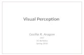 Visual Perception Cecilia R. Aragon I247 UC Berkeley Spring 2010.