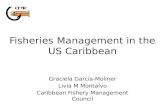 Fisheries Management in the US Caribbean Graciela García-Moliner Livia M Montalvo Caribbean Fishery Management Council.