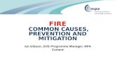 Ian Gibson, EHS Programme Manager, MPA Cement FIRE COMMON CAUSES, PREVENTION AND MITIGATION.