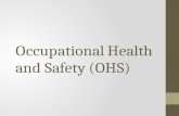 Occupational Health and Safety (OHS). It is also expected that they can give at least six occupational health and safety (OHS) that are related to computer.