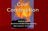 Coal Combustion Nadine Spitz Environmental Engineering Ben-Gurion University.