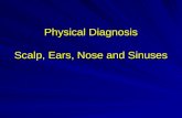 Physical Diagnosis Scalp, Ears, Nose and Sinuses.