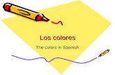 Los colores The colors in Spanish. Los colores Red = rojo Orange = anaranjado Yellow = amarillo Green = verde Blue = azul Purple = púrpura/morado.
