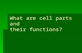 What are cell parts and their functions?. In this PowerPoint you will learn the following: nine different cell parts what function each part has.
