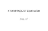 Matlab Regular Expression 2012.4.09. Lets begin with * Asterisk * can match all words when we interact with program, e.g. MS office software. *.* is match.