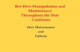Bee Hive Manipulation and Maintenance Throughout the Year - Louisiana Hive Maintenance and Upkeep.