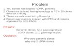 Problem 1. You screen two libraries- cDNA; genomic 2. Clones are isolated having homology to PSY- 10 clones from each library 3. These are subcloned into.