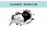 LEARNED BEHAVIOR. EXPERIENCE AND LEARNING Behavior that changes as a result of experience is called learned behavior. Experiences are stored in the brain.