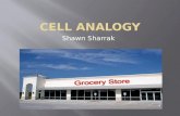 Shawn Sharrak. The cell membrane surrounds the cell, so its the same thing as the wall of the grocery store. In both plant/animal cells there is a cell.